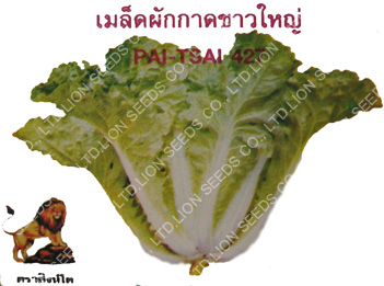 Pai Tsai 427
