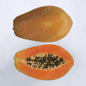 Papaya No. 81