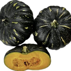 PK4437