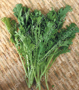 Thai Mustard